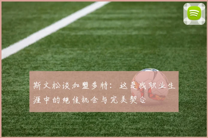 斯文松谈加盟多特：这是我职业生涯中的绝佳机会与完美契合
